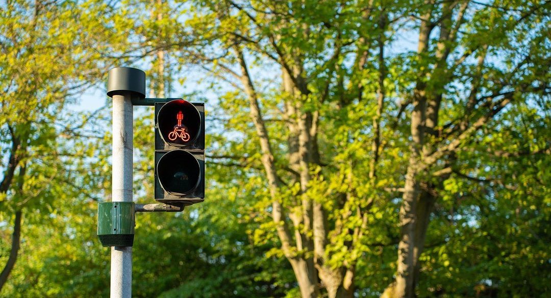 The Green Cross Code for Business Strategy