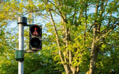 The Green Cross Code for Business Strategy